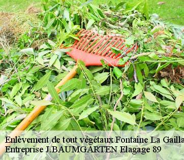 Enlèvement de tout végétaux  fontaine-la-gaillarde-89100 Entreprise J.BAUMGARTEN Elagage 89
