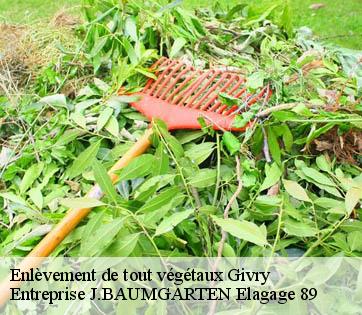 Enlèvement de tout végétaux  givry-89200 Entreprise J.BAUMGARTEN Elagage 89