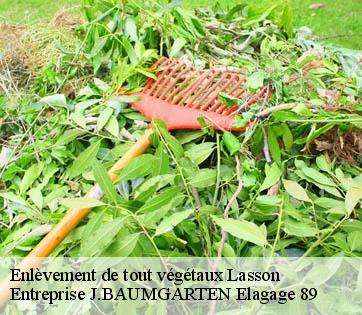 Enlèvement de tout végétaux  lasson-89570 Entreprise J.BAUMGARTEN Elagage 89