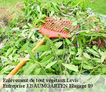 Enlèvement de tout végétaux  levis-89520 Entreprise J.BAUMGARTEN Elagage 89