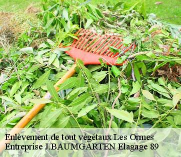 Enlèvement de tout végétaux  les-ormes-89110 Entreprise J.BAUMGARTEN Elagage 89