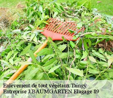 Enlèvement de tout végétaux taingy-89560 Entreprise J.BAUMGARTEN Elagage 89