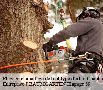Elagage et abattage de tout type d'arbre chablis-89800 Entreprise J.BAUMGARTEN Elagage 89