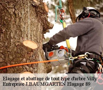 Elagage et abattage de tout type d'arbre villy-89800 Entreprise J.BAUMGARTEN Elagage 89
