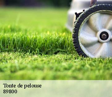 Tonte de pelouse  89800