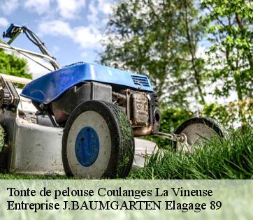 Tonte de pelouse coulanges-la-vineuse-89580 Entreprise J.BAUMGARTEN Elagage 89