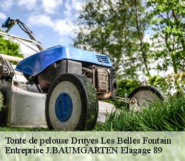 Tonte de pelouse druyes-les-belles-fontain-89560 Entreprise J.BAUMGARTEN Elagage 89
