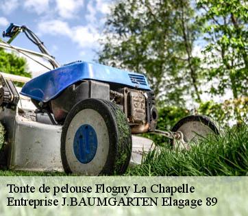 Tonte de pelouse flogny-la-chapelle-89360 Entreprise J.BAUMGARTEN Elagage 89