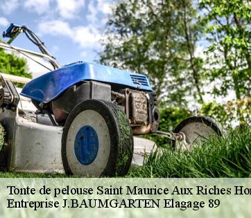 Tonte de pelouse  saint-maurice-aux-riches-hommes-89190 Entreprise J.BAUMGARTEN Elagage 89