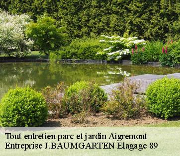 Tout entretien parc et jardin  aigremont-89800 Entreprise J.BAUMGARTEN Elagage 89