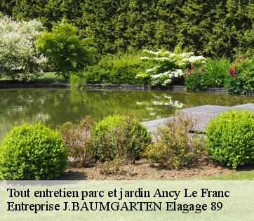 Tout entretien parc et jardin  ancy-le-franc-89160 Entreprise J.BAUMGARTEN Elagage 89
