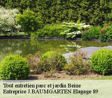 Tout entretien parc et jardin  beine-89800 Entreprise J.BAUMGARTEN Elagage 89