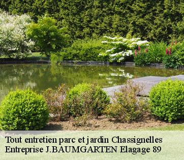 Tout entretien parc et jardin chassignelles-89160 Entreprise J.BAUMGARTEN Elagage 89