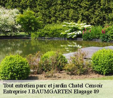 Tout entretien parc et jardin chatel-censoir-89660 Entreprise J.BAUMGARTEN Elagage 89