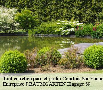 Tout entretien parc et jardin  courtois-sur-yonne-89100 Entreprise J.BAUMGARTEN Elagage 89