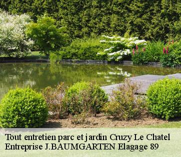 Tout entretien parc et jardin  cruzy-le-chatel-89740 Entreprise J.BAUMGARTEN Elagage 89