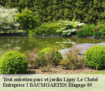 Tout entretien parc et jardin ligny-le-chatel-89144 Entreprise J.BAUMGARTEN Elagage 89