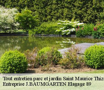 Tout entretien parc et jardin  saint-maurice-thizouailles-89110 Entreprise J.BAUMGARTEN Elagage 89