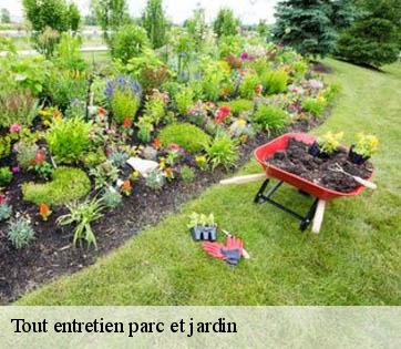 Tout entretien parc et jardin